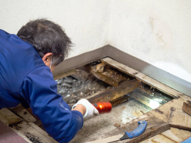 Water Damage Restoration in Imperial, CA