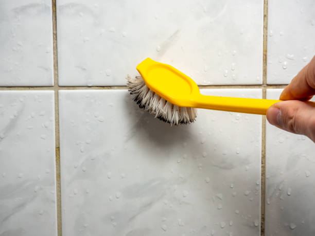 Imperial, CA Mold Removal Company